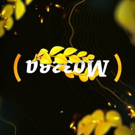 Квиз Мозгва Зачетная 978 День 2
